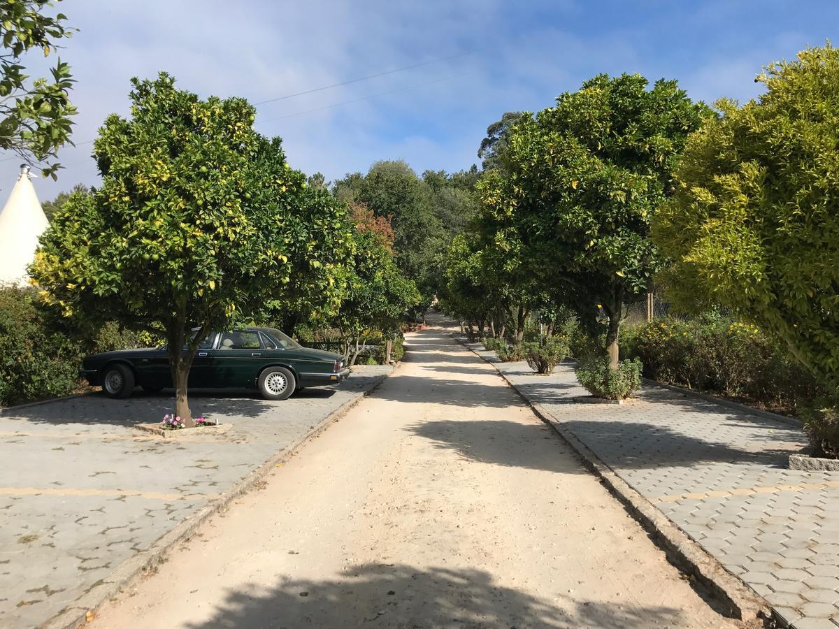 Quinta Da Fontoura ξενώνας Alquerubim Εξωτερικό φωτογραφία
